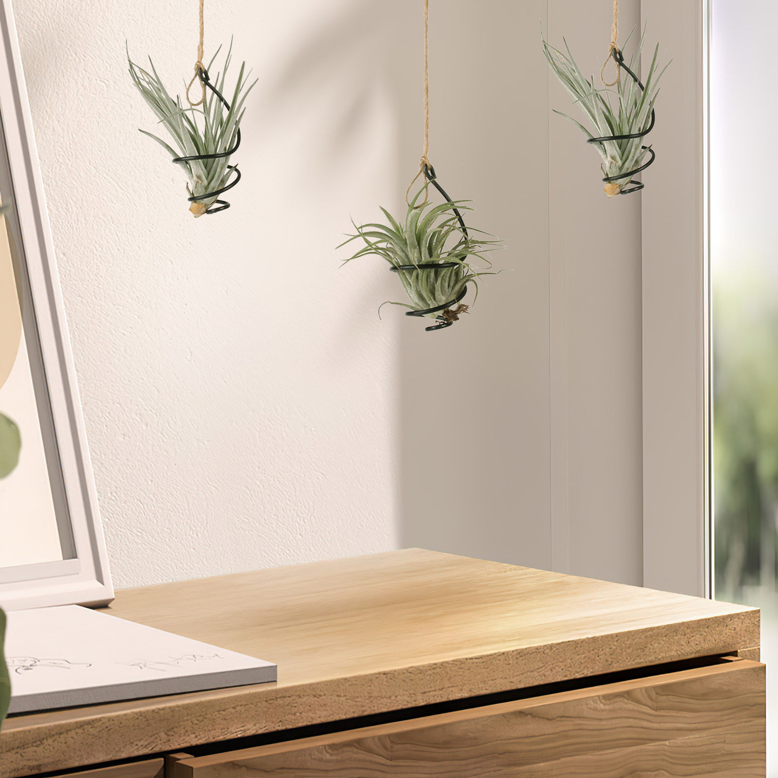 Air Plant Tillandsia - 12Set Metal Spiral Air Plant Holders