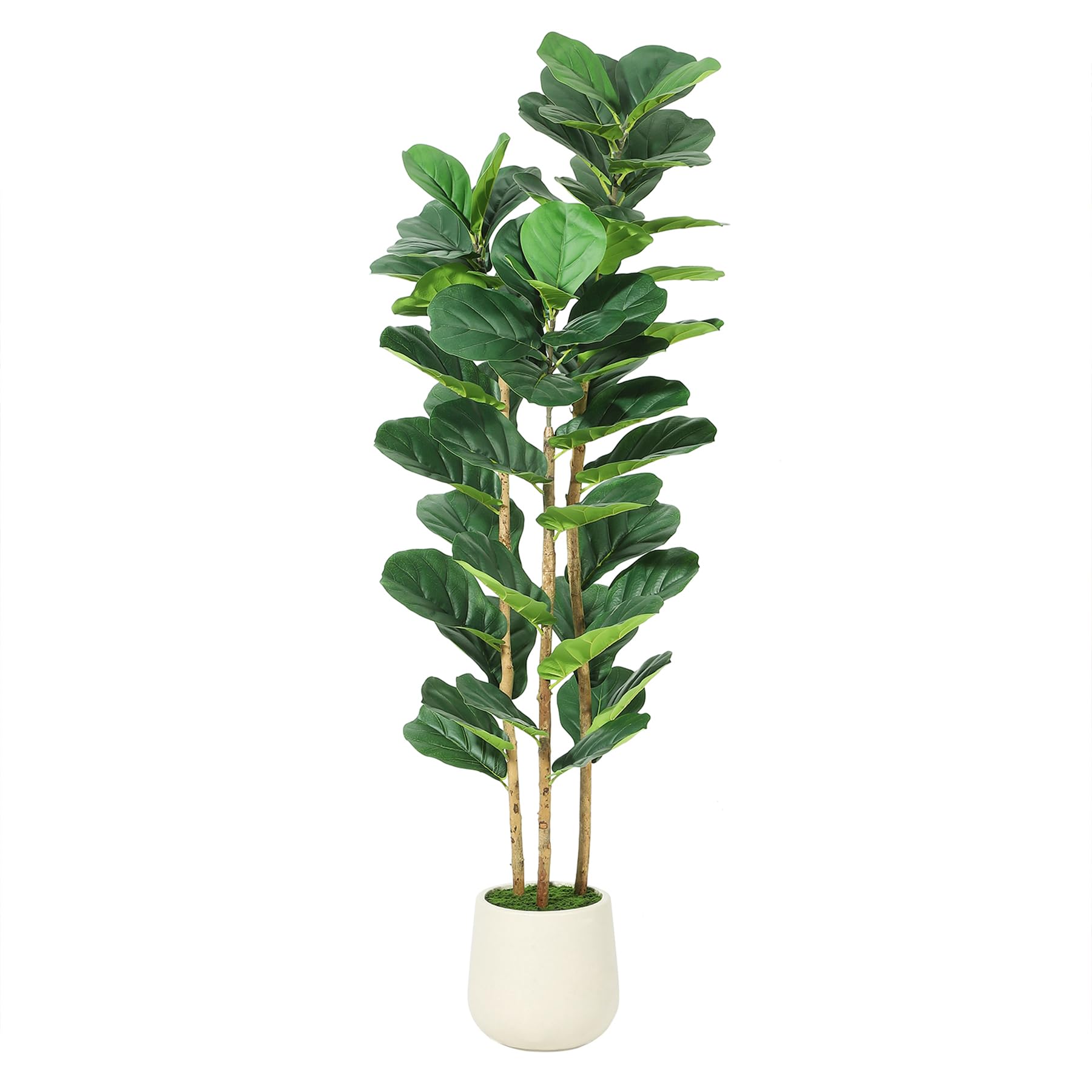Artificial Fiddle Leaf Fig Tre - Rubber Plant Ficus ulasan dan harga