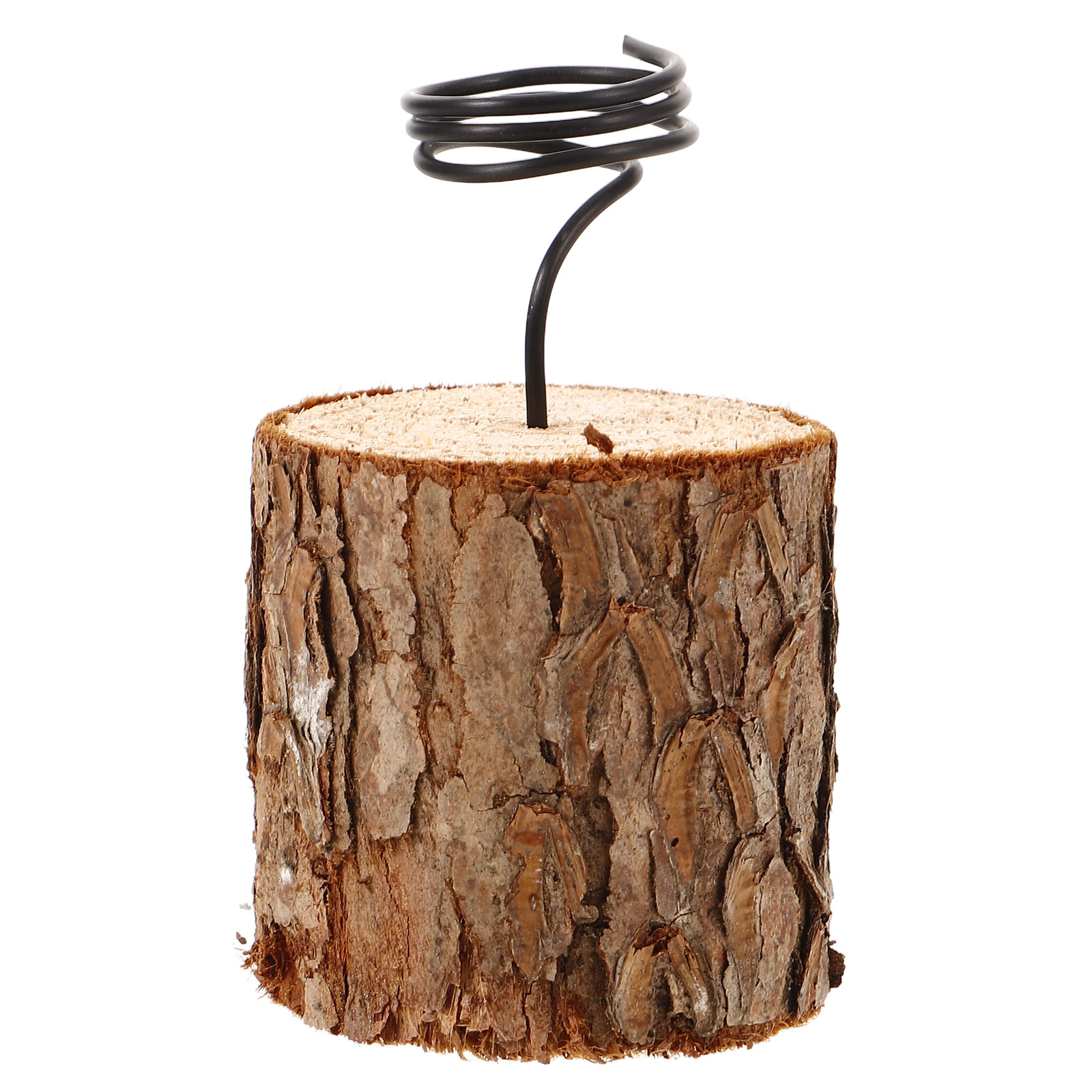 Wooden Base Air Plant Holder S - Air Plant Tillandsia ulasan dan harga