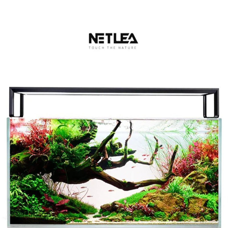Netlea AT5S V3 Smart Wifi APP  - Plant Parent App ulasan dan harga