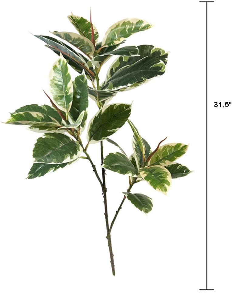 Ficus Tineke Artificial Plant  - Rubber Plant Ficus ulasan dan harga
