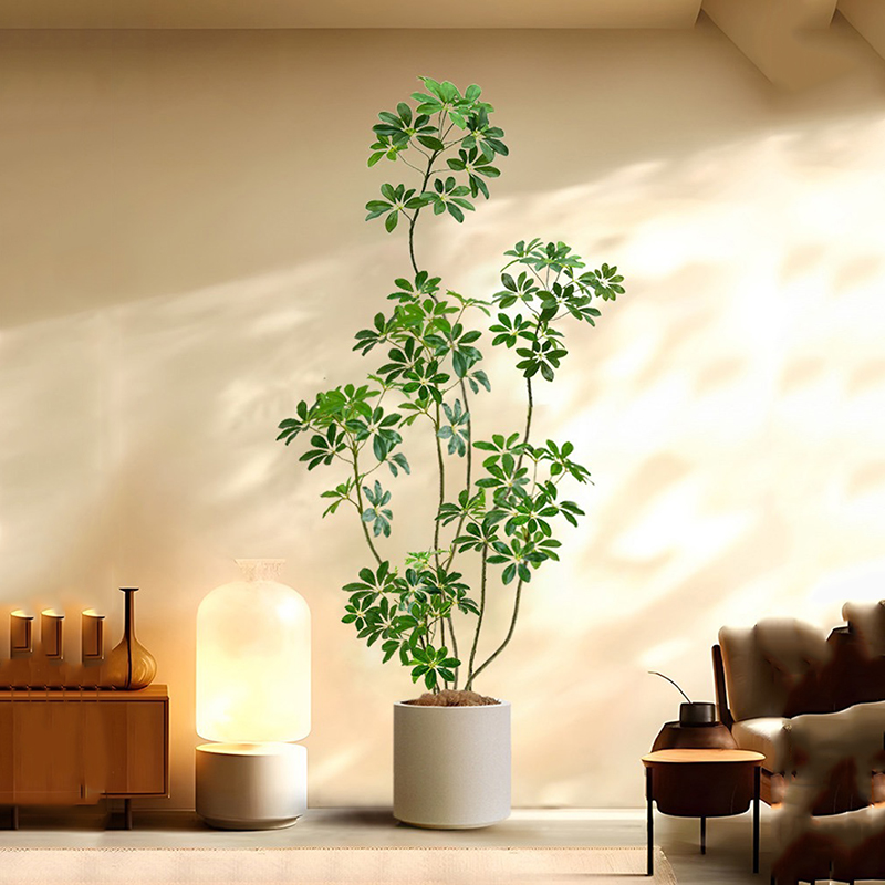 31-74in Large Artificial Ficus - Rubber Plant Ficus ulasan dan harga