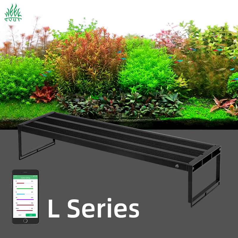 Week Aqua Ver. 3 L Series Newe - Plant Parent App ulasan dan harga