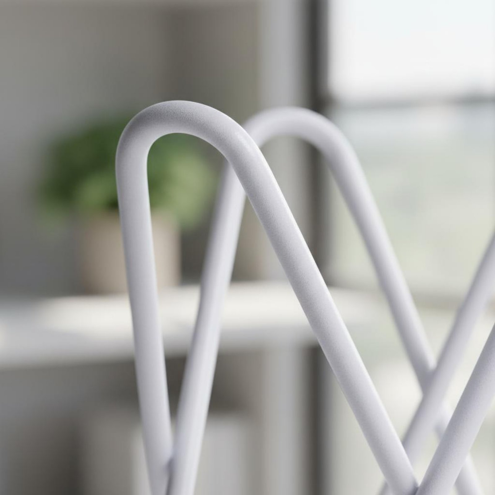 Air Plant Stand Minimalist Des - Air Plant Tillandsia ulasan dan harga