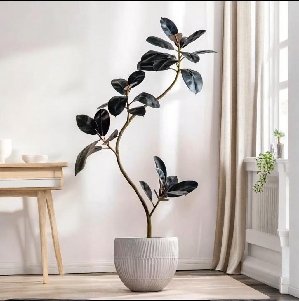 Artificial Plastic Potted Plan - Rubber Plant Ficus ulasan dan harga