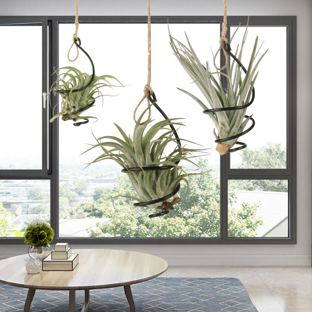Plant Stand Metal 6 Pcs Metal  - Air Plant Tillandsia ulasan dan harga