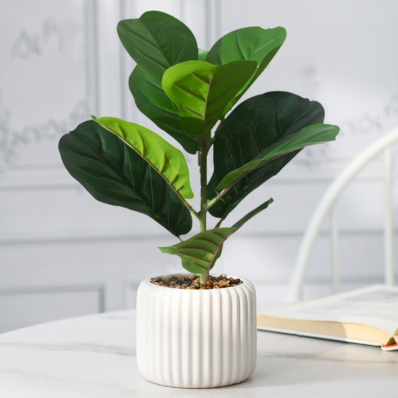 38cm Fake Ficus Tree Artificia - Rubber Plant Ficus ulasan dan harga