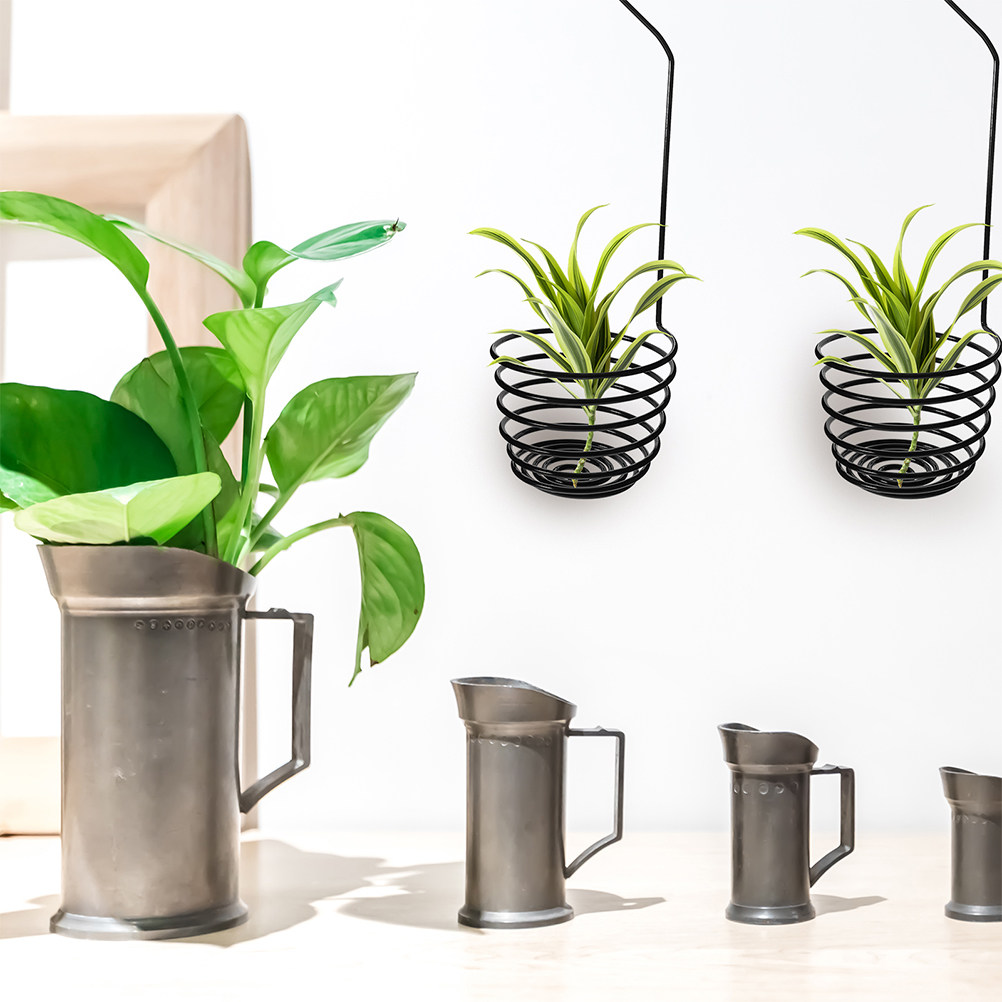 3Pcs Metal Spiral Air Plant Ha - Air Plant Tillandsia ulasan dan harga